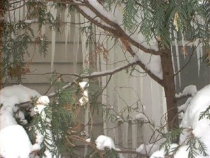 the side of my neighbor's house, overhung with icicles