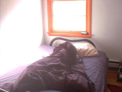 purple daunendecke bed in sunlight