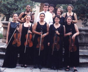 the viola section